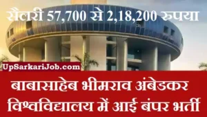 BBAU Bharti 2026 : प्रोफेसर, एसोसिएट प्रोफेसर और सहायक प्रोफेसर की भर्ती