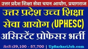 UPHESC Assistant Professor Bharti 2026: आंसर की जारी, रिस्पॉन्स शीट और ऑब्जेक्शन लिंक