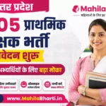 UP Primary Teacher Online Form 2026: उत्तर प्रदेश 12405 प्राथमिक शिक्षक भर्ती आवेदन शुरू, महिला अभ्यर्थियों के लिए बड़ा मौका