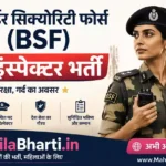 BSF Sub Inspector Form 2026: सीमा सुरक्षा बल में सब-इंस्पेक्टर पदों पर निकली भर्ती, जानें पूरी जानकारी